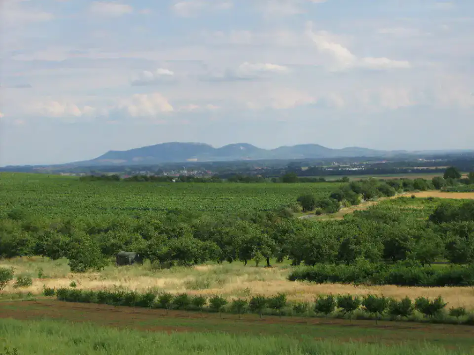 Pálava — Lednice, Mikulov et vignobles moraves
