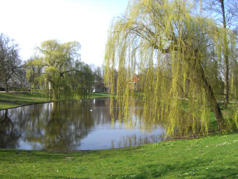Noorderplantsoen - Groningue
