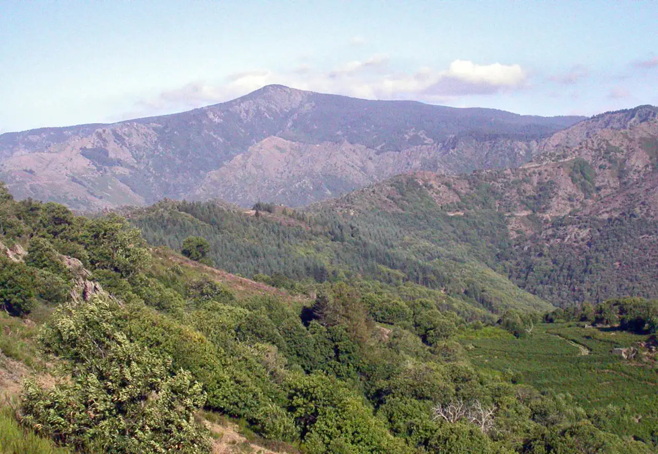 Mont Aigoual - Cévennes