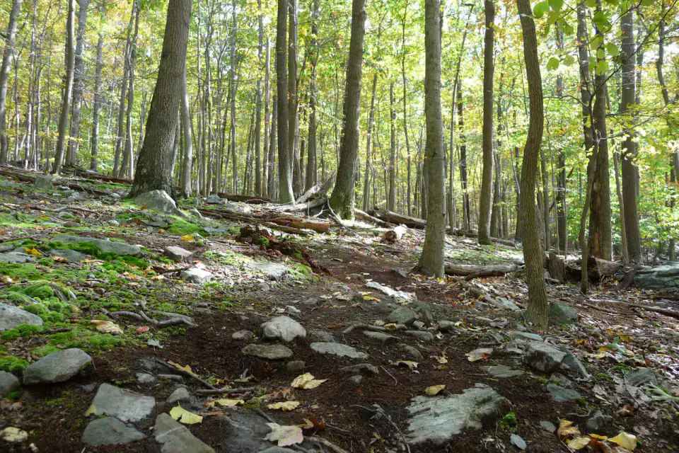 Catoctin Mountain Park — Frederick et Catoctin Mountains