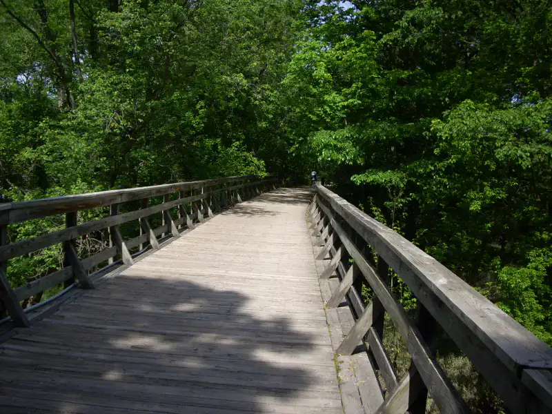 MKT Trail - Columbia
