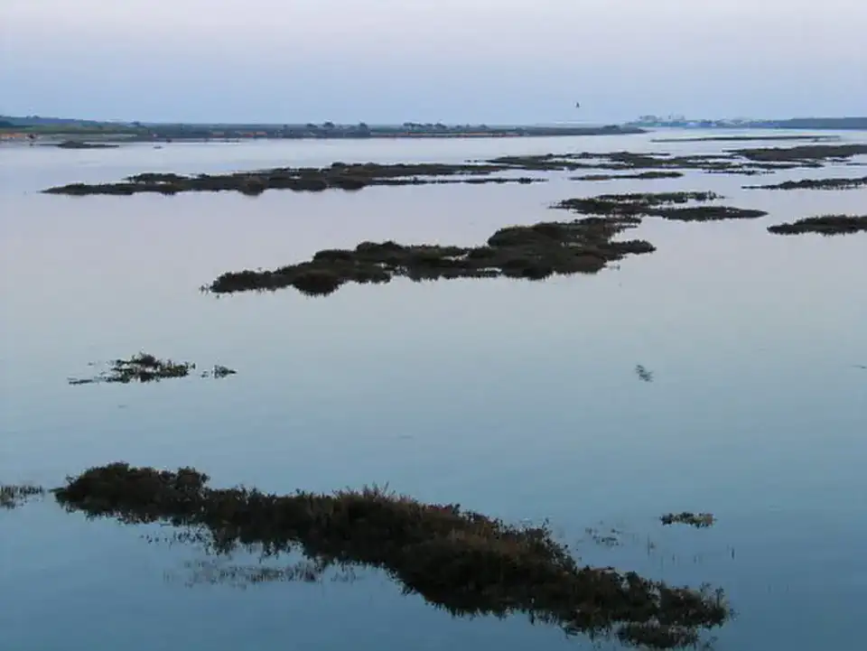 Ria Formosa - Faro, Olhão et Ria Formosa