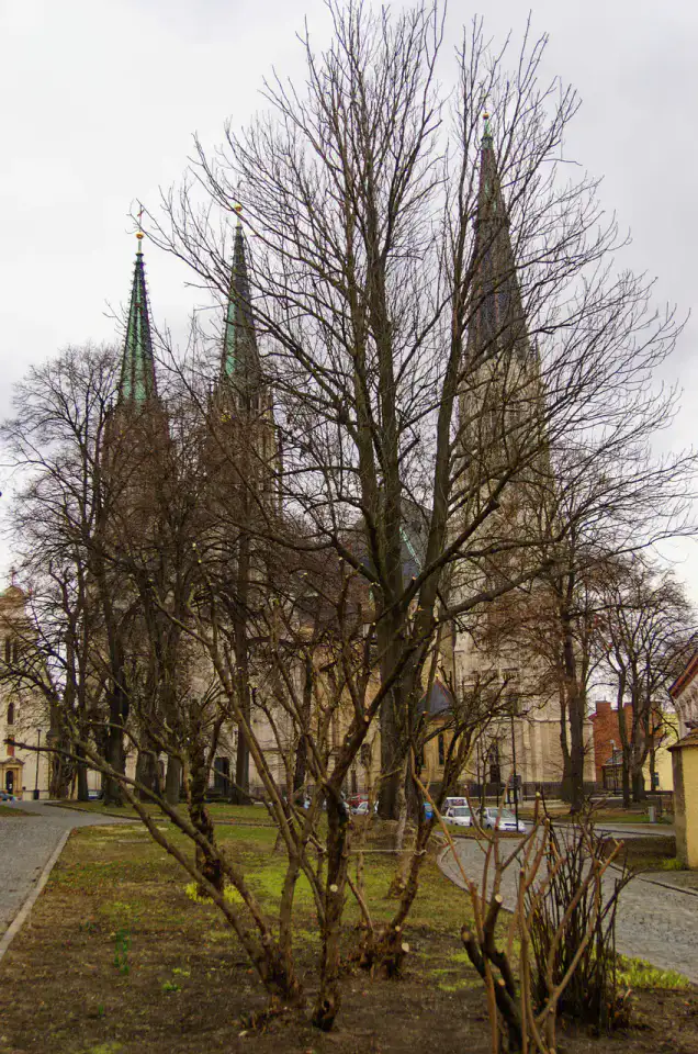 Cathédrale Saint-Venceslas — Olomouc et Haná
