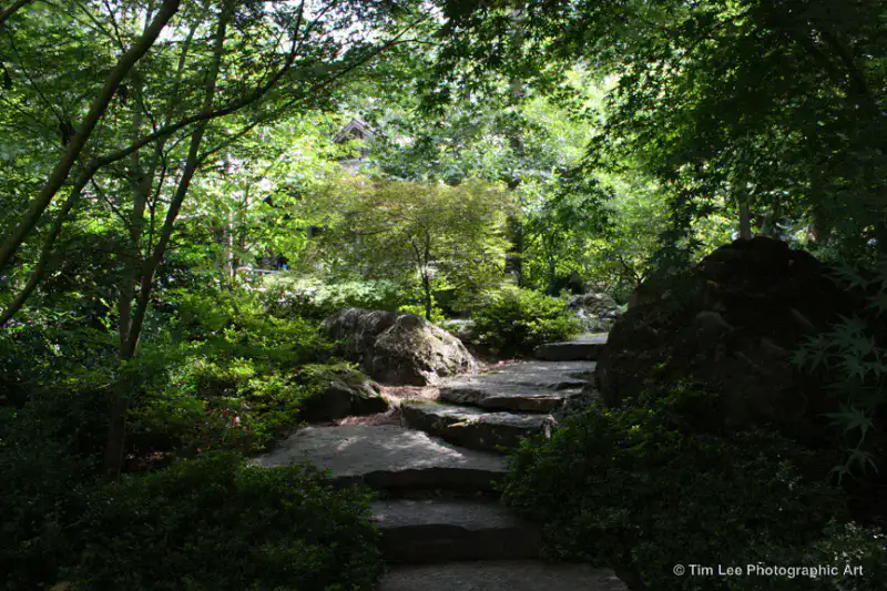 Garvan Woodland Gardens - Hot Springs