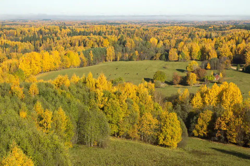 Belvédère de Rebasemõisa - Parc national de Karula