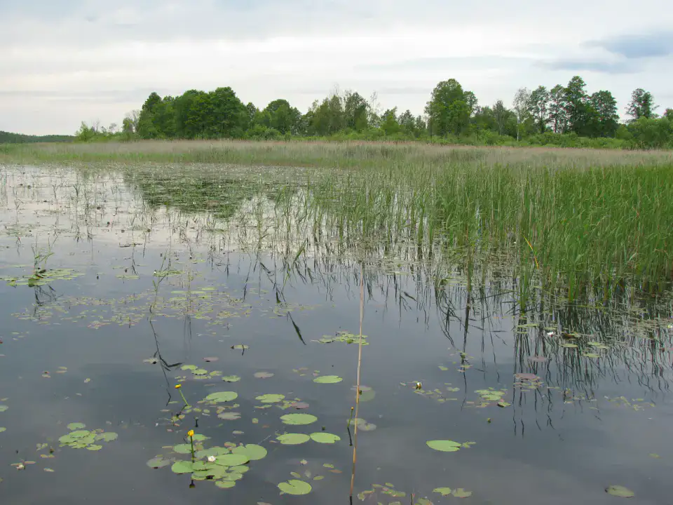 Lac Łukie - Polésie de Lublin