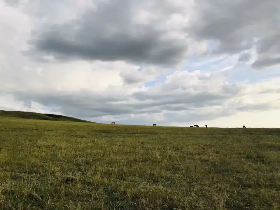 Prairies of Xilingol