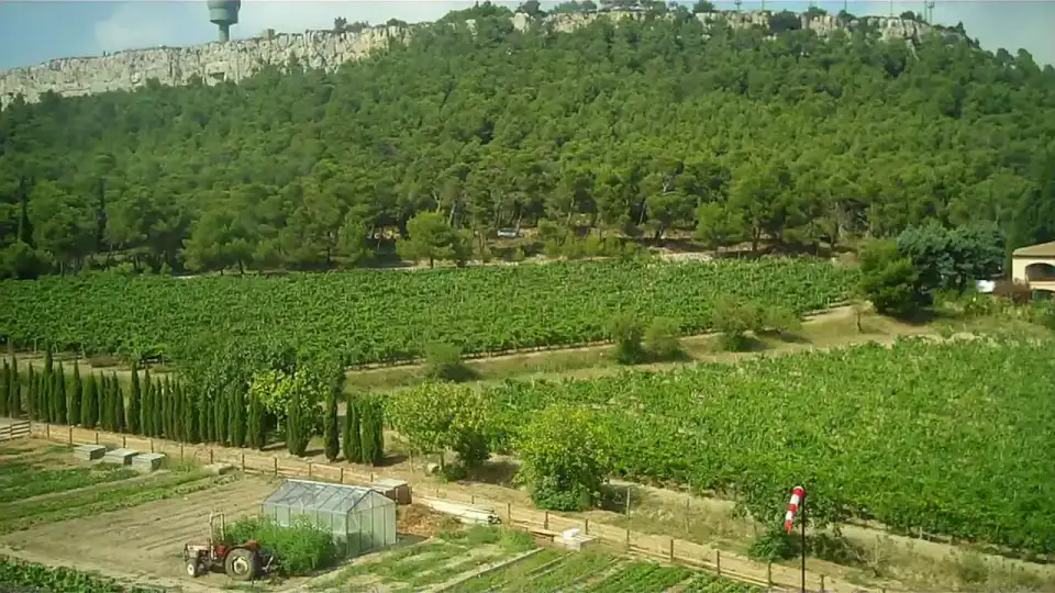 Massif de la Clape - Narbonne, Gruissan et la Clape
