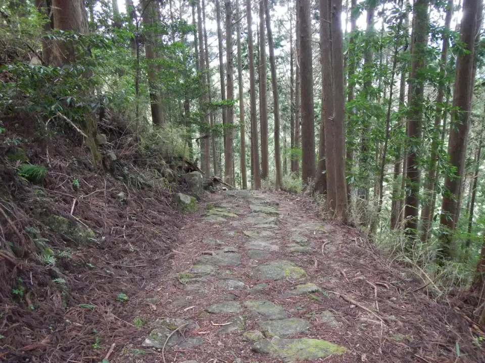 Chemin de pèlerinage Kumano Kodō - Kōyasan et Kumano