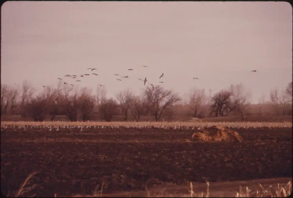 Rowe Sanctuary - Kearney et Platte River