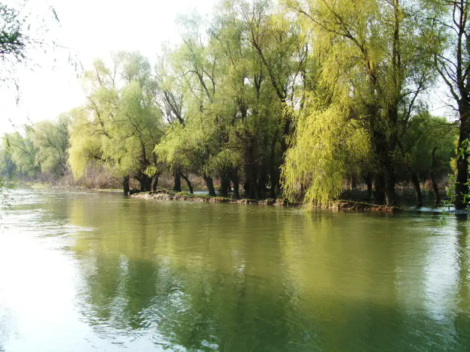 Canaux du delta — Delta du Danube