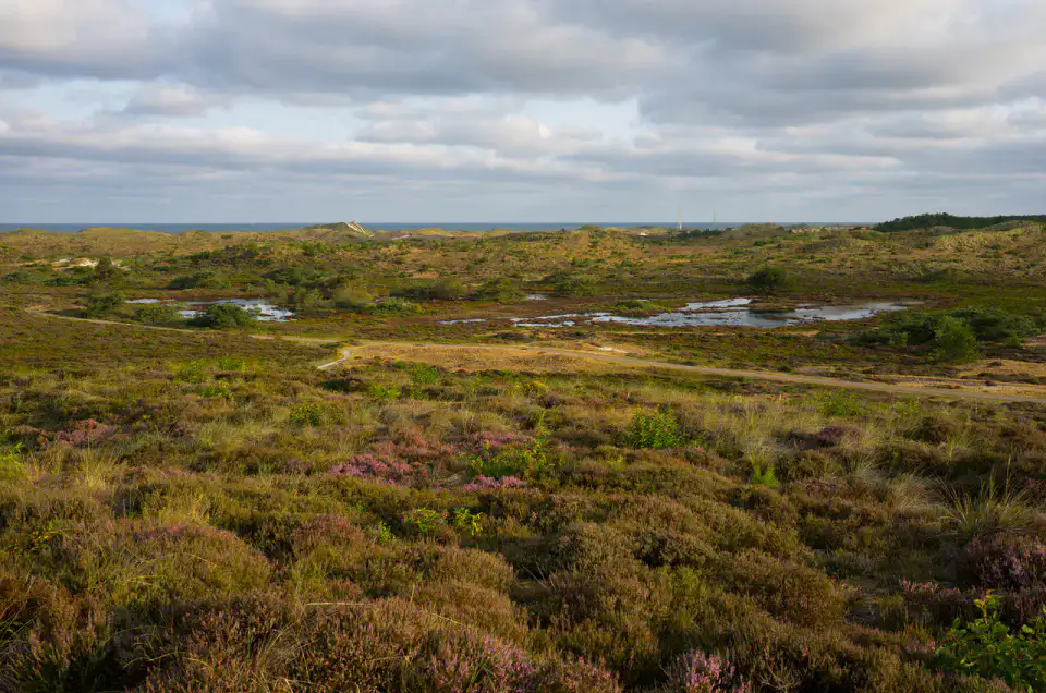 Schoorlse Duinen - Alkmaar et dunes du nord