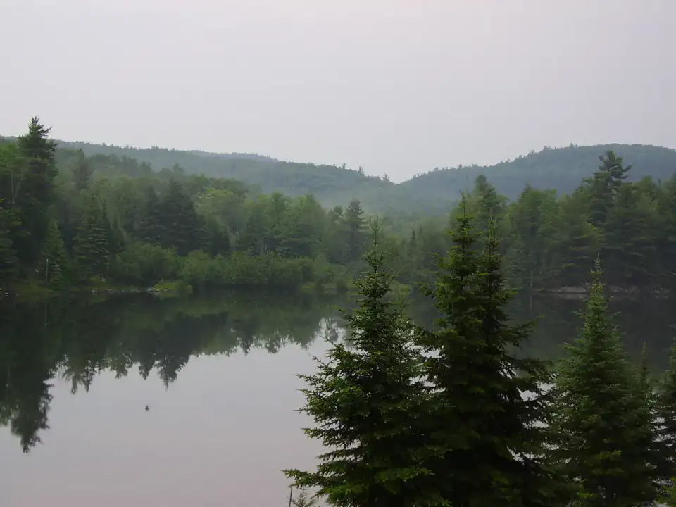 Parc Oméga - Montebello et Petite-Nation