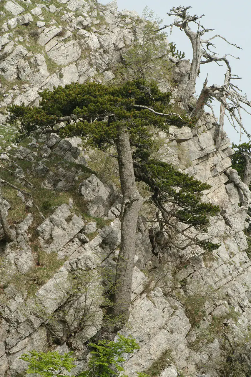 Parc national du Pollino - Pollino