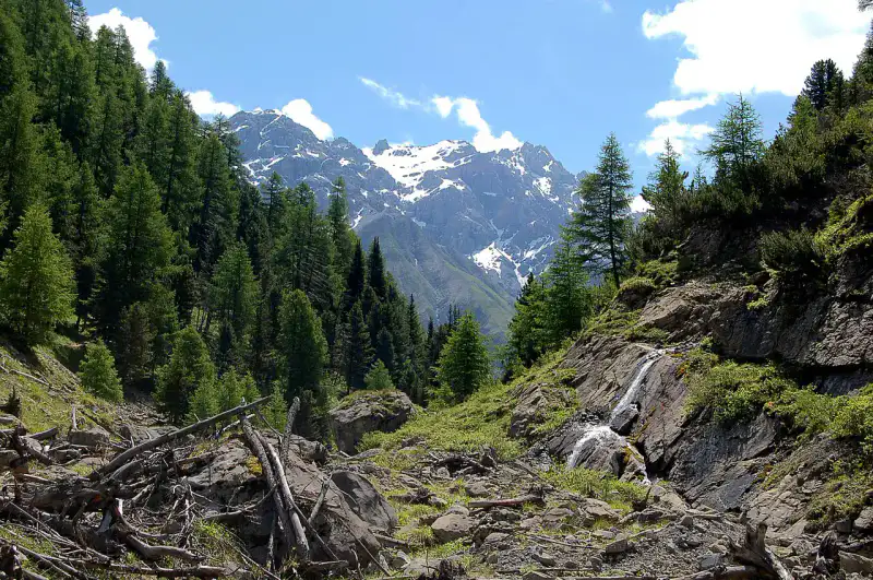 Val Trupchun - Parc national suisse et Basse-Engadine