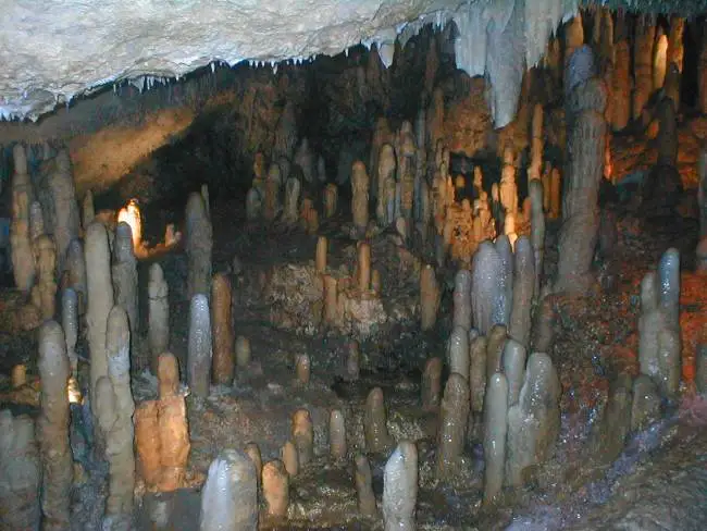 Grotte de Harrison — La Barbade, Bridgetown et la côte est