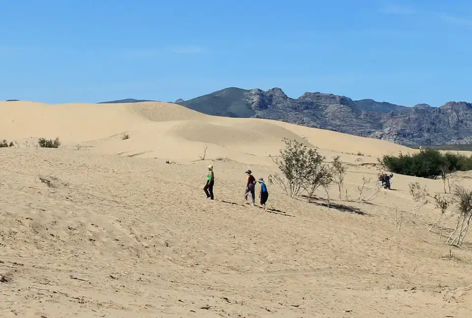 Dunes méridionales d'Elsen Tasarkhai - Elsen Tasarkhai