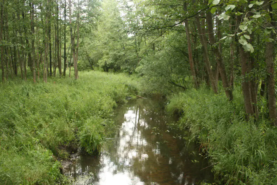 Parc national de Wigry — Suwałki et Wigry