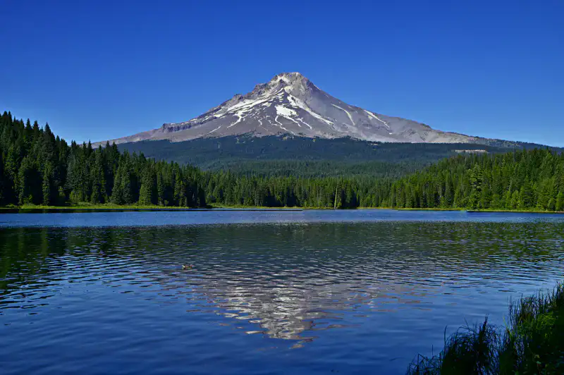 Mount Hood - Mount Hood