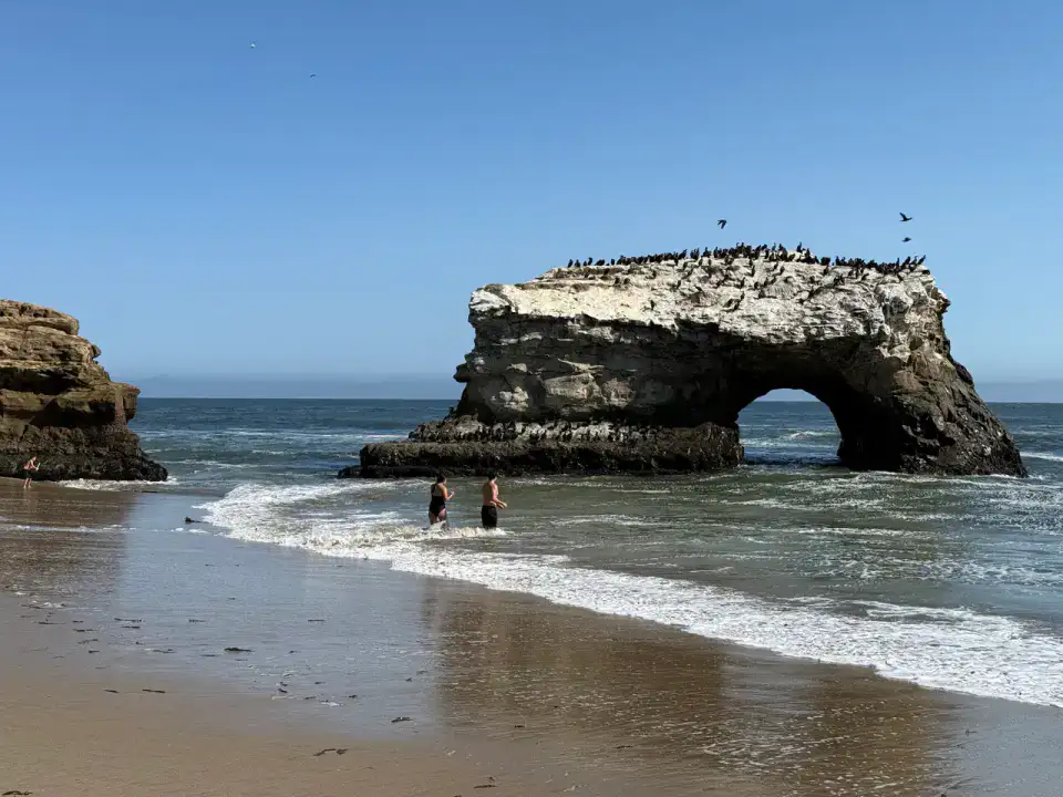 Natural Bridges State Beach - Santa Cruz