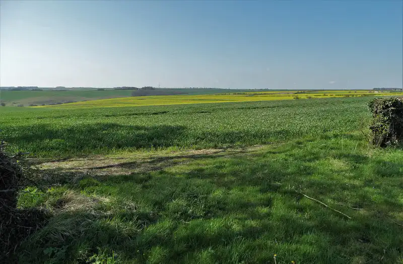 Lincolnshire Wolds