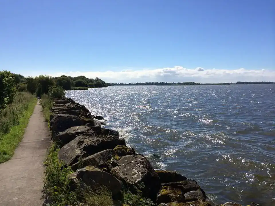 Rive de Lough Neagh à Oxford Island