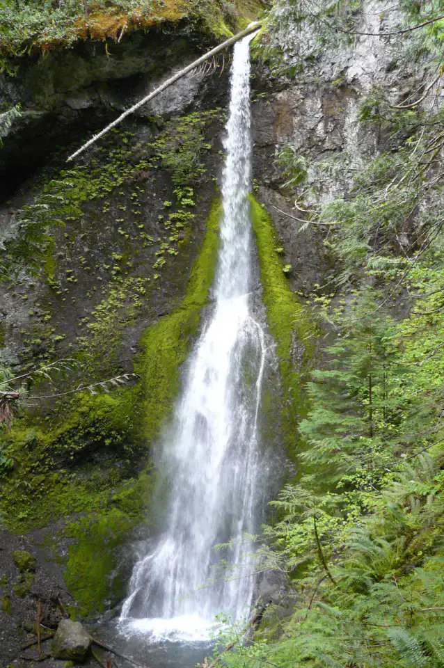 Marymere Falls - Port Angeles et Hurricane Ridge