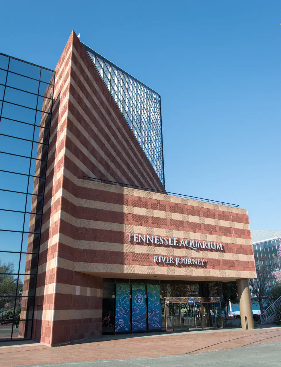 Tennessee Aquarium - Chattanooga