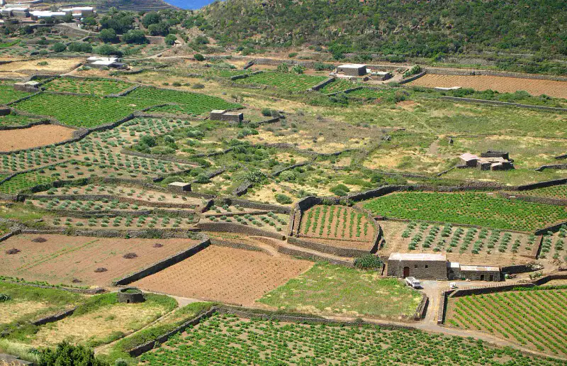 Paysage rural et volcanique de Pantelleria