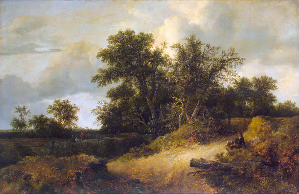 Dunes boisées — Kampinos