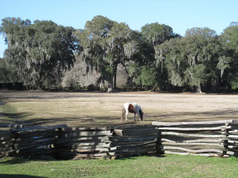 Magnolia Plantation and Gardens