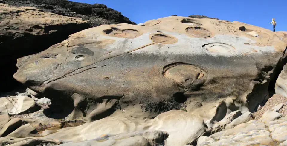 Point Lobos - Monterey et Carmel
