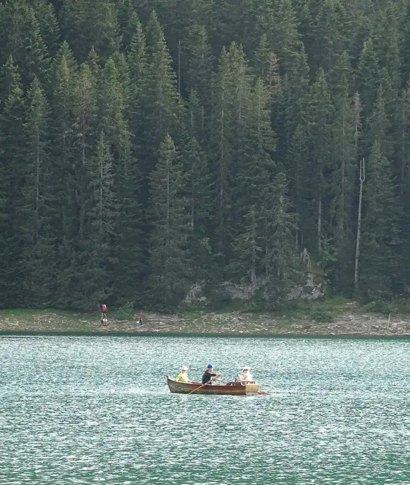 Forêt et montagnes autour du Lac Noir
