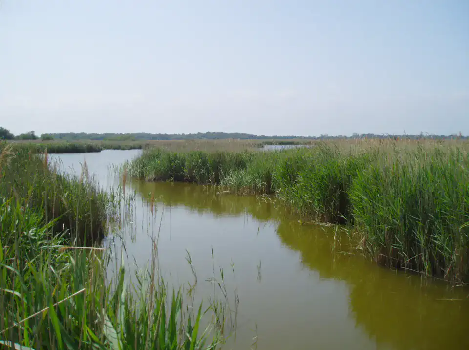 Hickling Broad