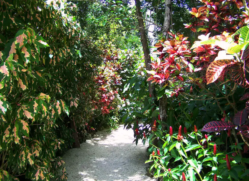 Jardin botanique Reine-Élisabeth-II - Îles Caïmans