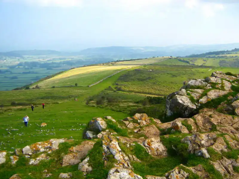 Mendip Hills