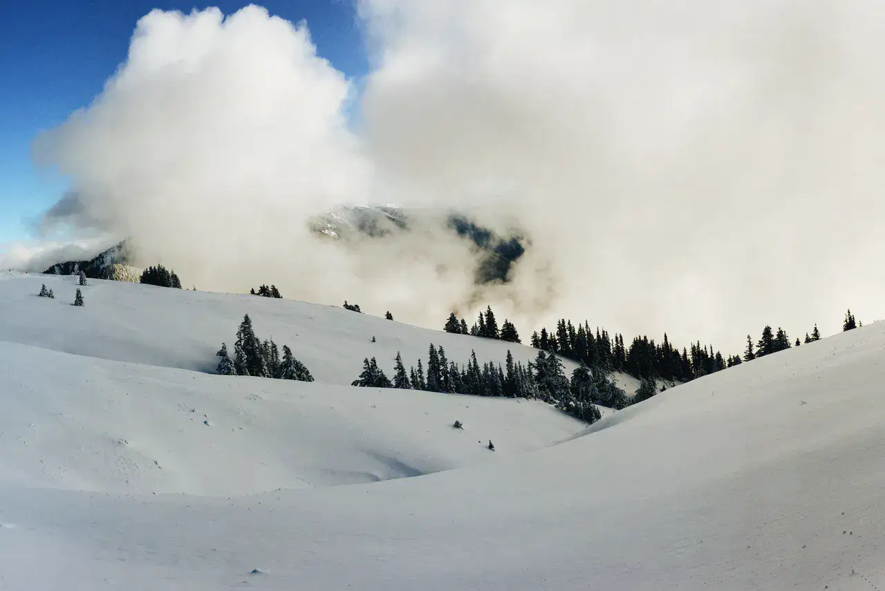 Hurricane Ridge — Port Angeles et Hurricane Ridge