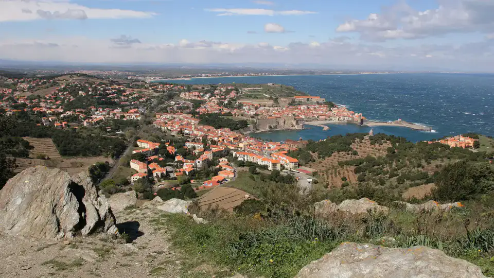 Port de Collioure - Collioure et Côte Vermeille