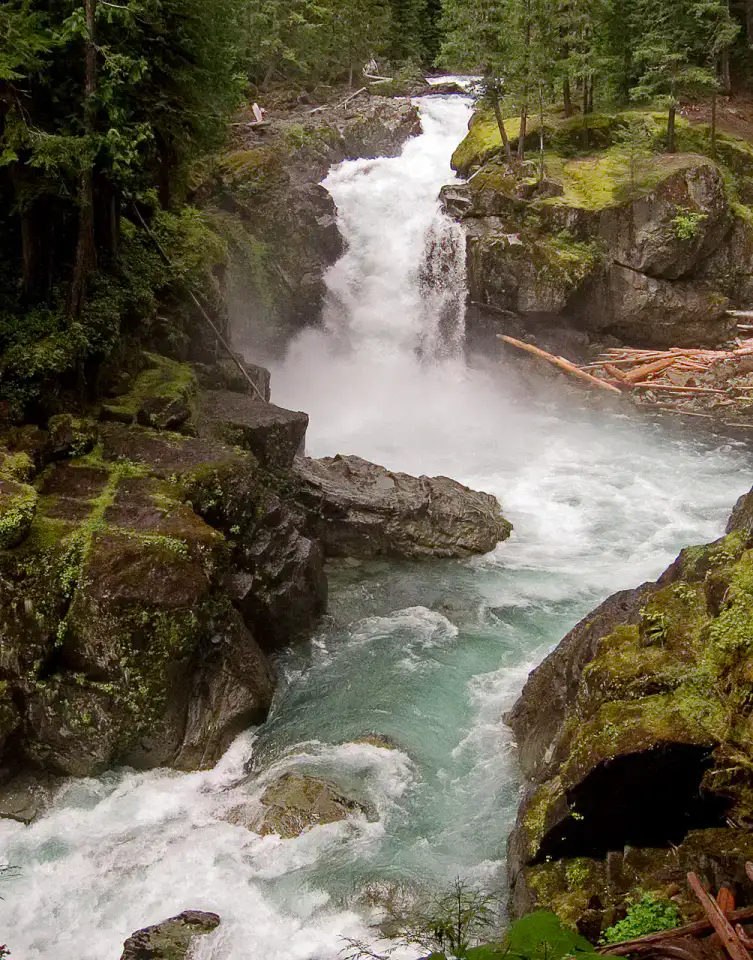 Grove of the Patriarchs - Mount Rainier National Park