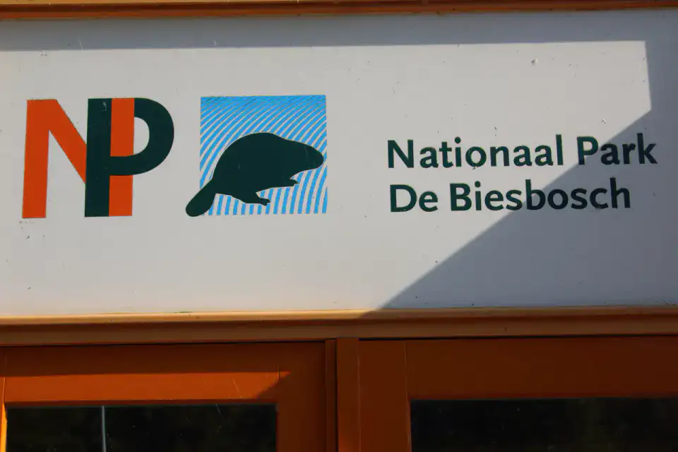 Biesbosch - Dordrecht et Biesbosch