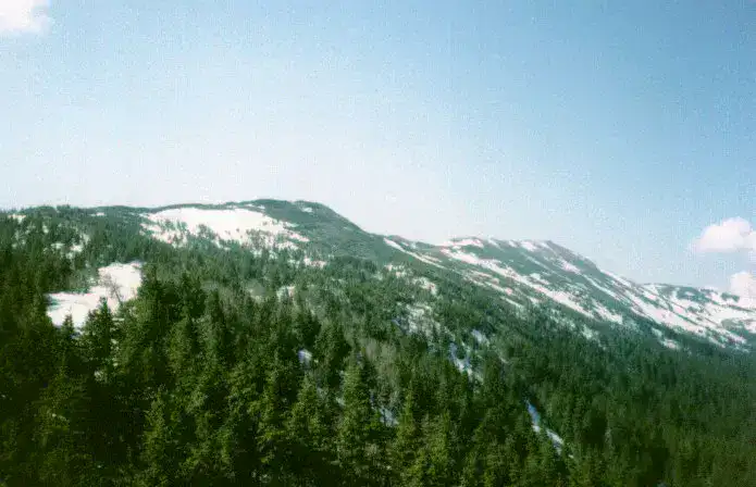 Parc national de Babia Góra — Babia Góra