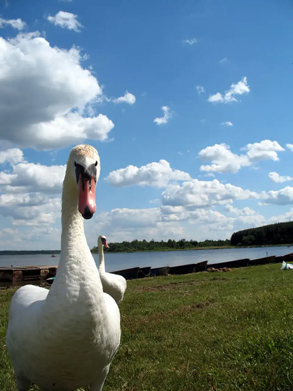 Lac Dryviaty - Lacs de Braslaw