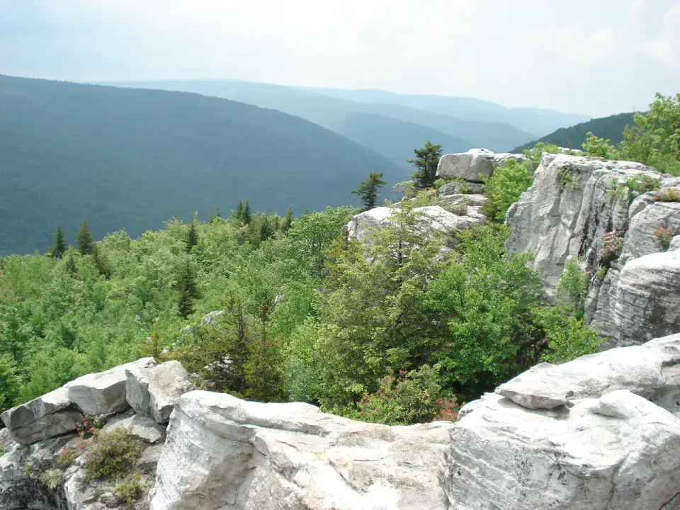 Dolly Sods Wilderness - Monongahela Highlands