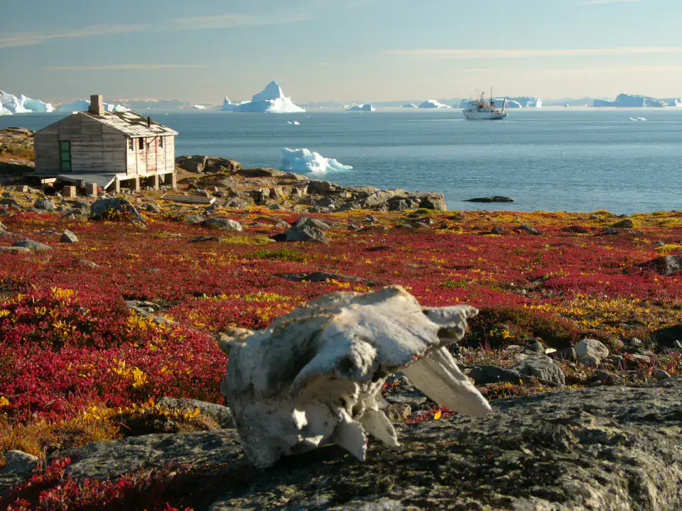 Scoresby Sund — Ittoqqortoormiit et Scoresby Sund