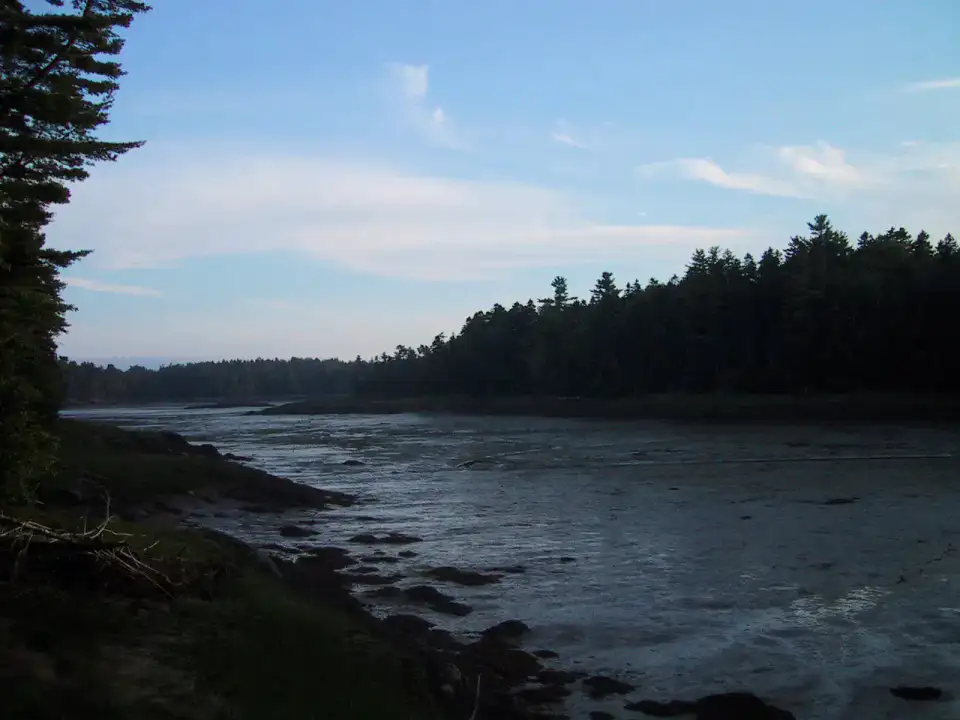 Cobscook Bay State Park - Downeast Maine et Quoddy