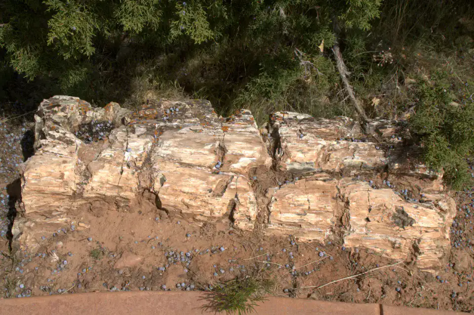 Escalante Petrified Forest - Grand Staircase-Escalante