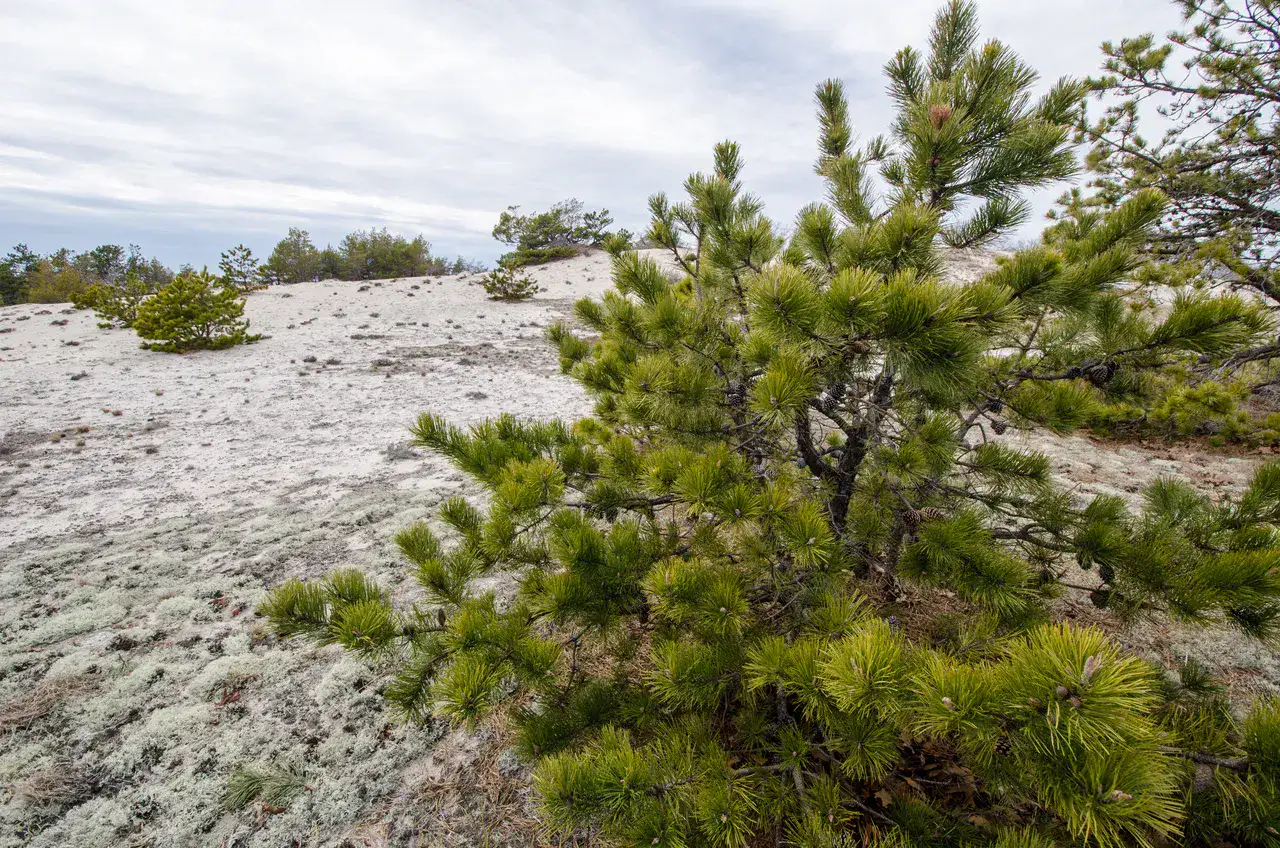 Cape Cod National Seashore