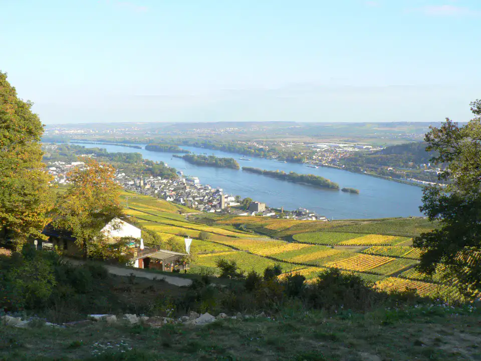 Rüdesheim am Rhein - Vallee du Rhin moyen