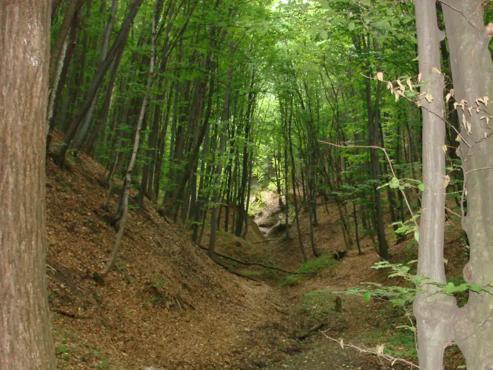 Monastère de Căpriana — Codrii et monastères de Călărași
