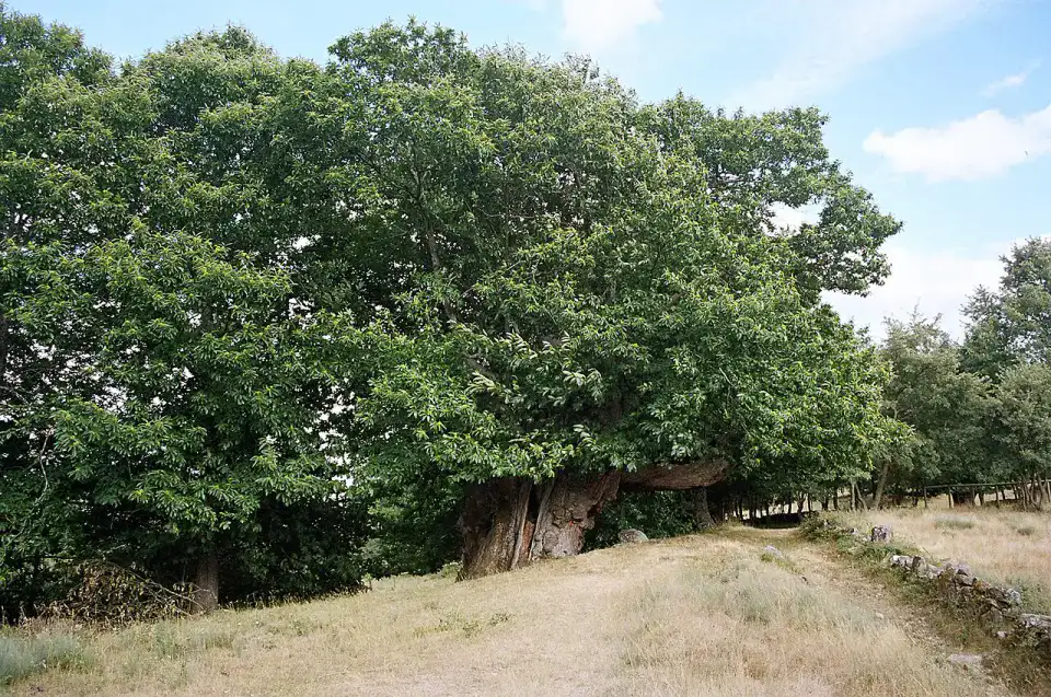A Rúa - Valdeorras et Manzaneda